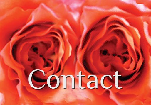 To "Contact" page