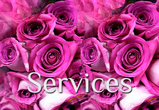 To "Services" page