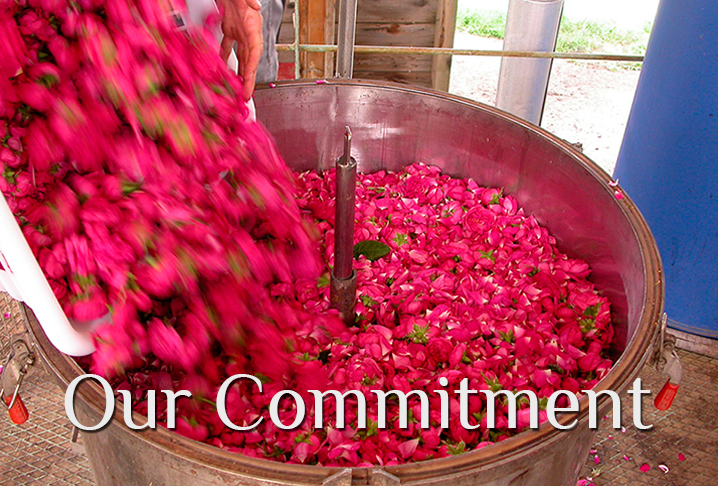 To "Our Commitment" page
