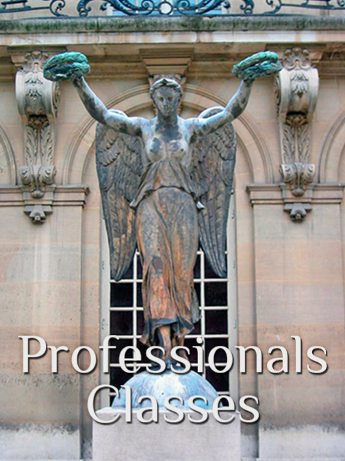 To "Professionals Classes" page
